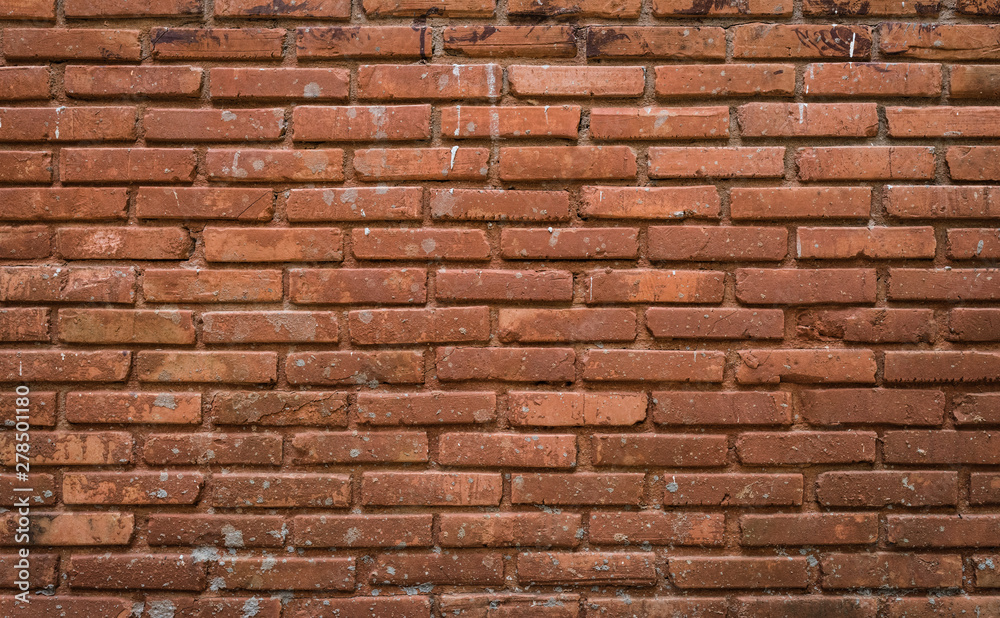 Brick wall texture background Brick wall texture background