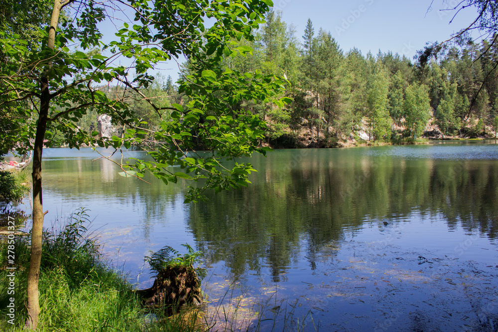 forest and lake forest and lake