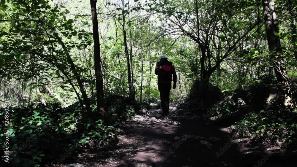 Mountaineer walking through the forest of Gorge Turda - Cheile Turzii.