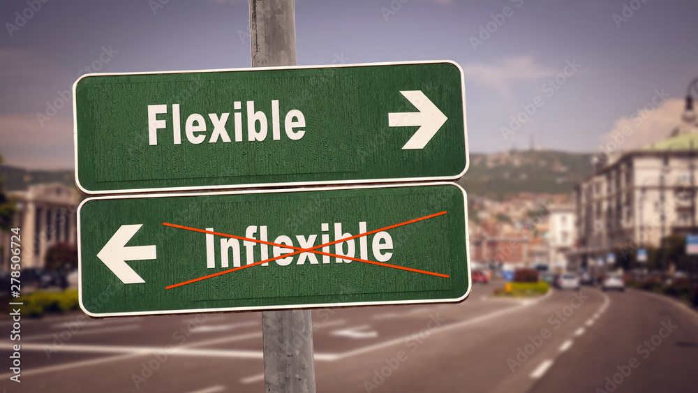 Street Sign Flexible versus Inflexible