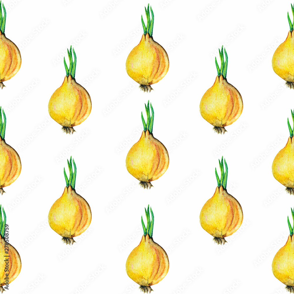Onion plant watercolor art illustration Onion plant watercolor art illustration