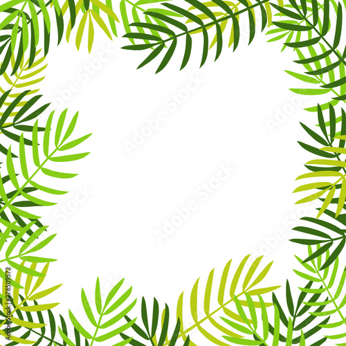 Palm leaves background.