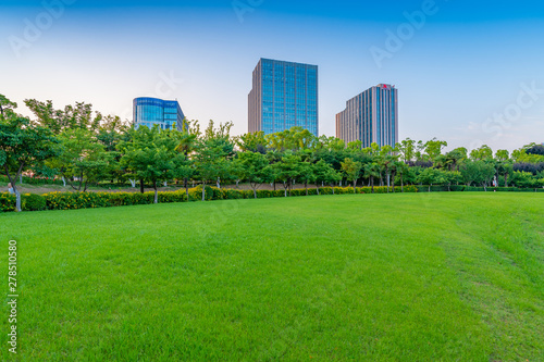Fototapeta Naklejka Na Ścianę i Meble -  Afternoon Lawn Green space and business building, Daning Tulip Park, Shanghai, China