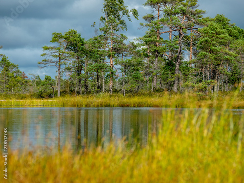 colorful view of the bog with clouds of reflection in the lake -