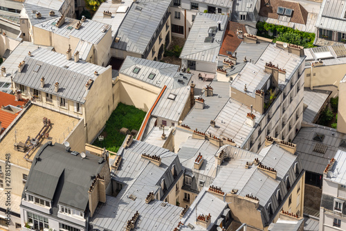 Aerial view of buildings, traditional zinc roofs and chimneys in Paris, France