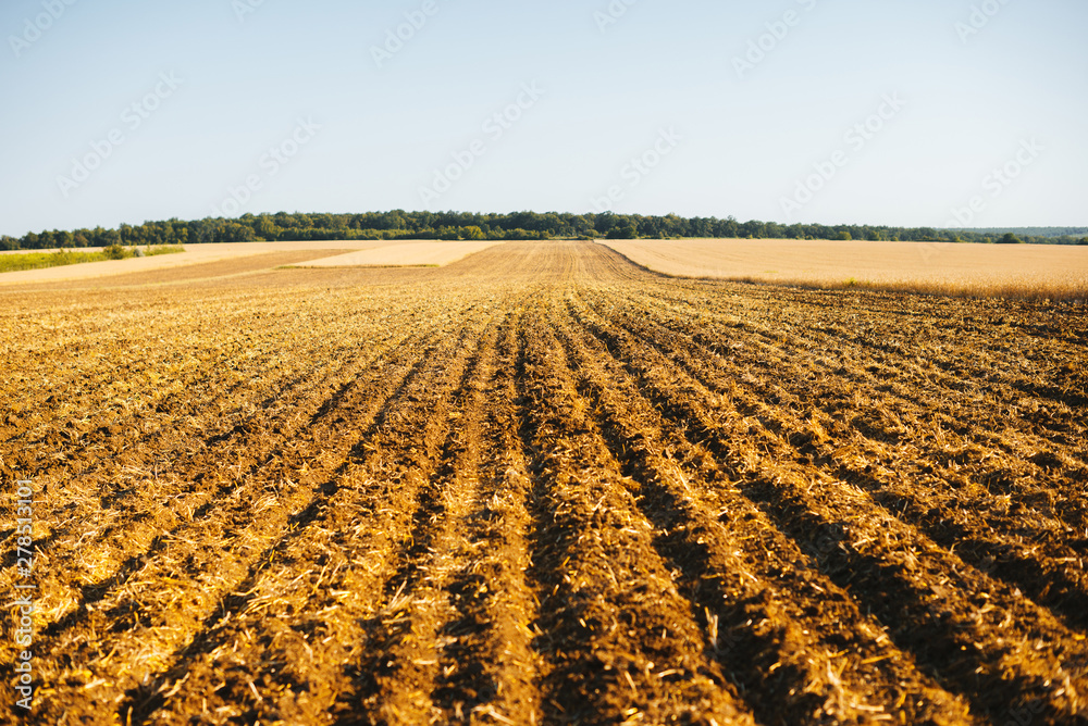 Photo of agricultural land, .infield in working stage of plantation