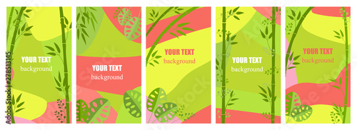 Set of abstract backgrounds in pink and green with space for text. Design of banner, poster, advertising content in networks,  social media promotional. Tropical leaves, jungle, bamboo stalks