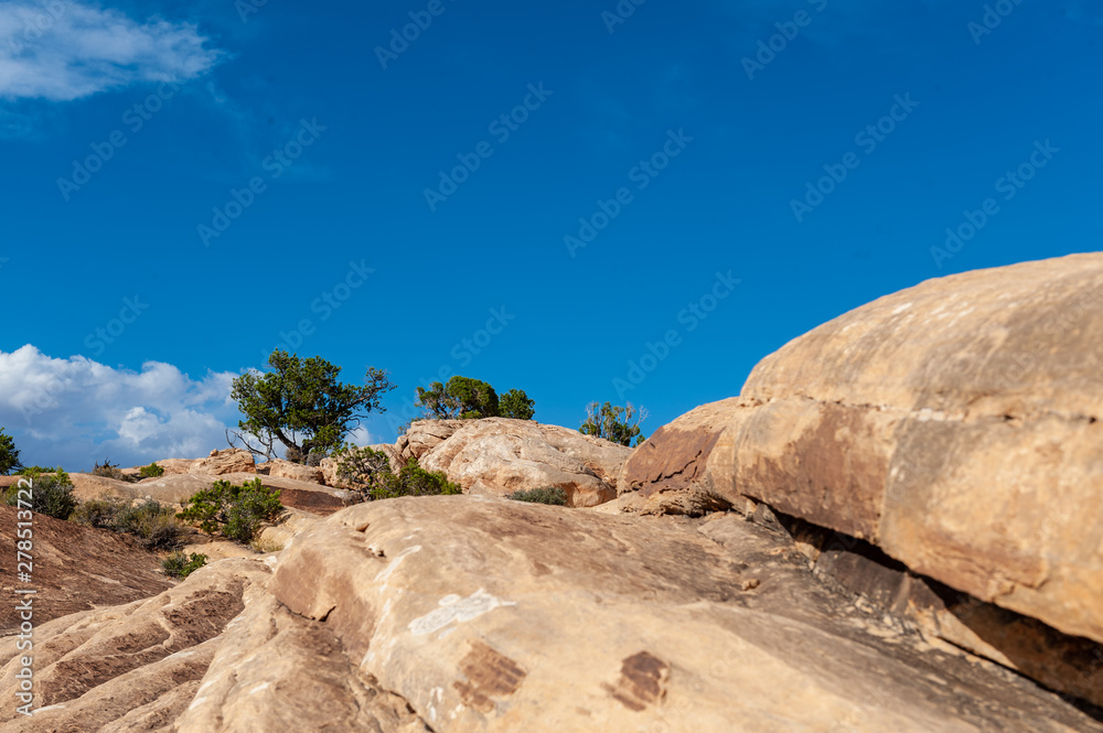 Landscape along the Lost Canyon Loop Trail. The Needles Area, Canyonlands National Park, Utah. Landscape along the Lost Canyon Loop Trail. The Needles Area, Canyonlands National Park, Utah.