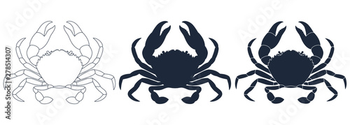 Crabs graphic icons set. Sea crabs contour silhouette and sign isolated on white background. Vector illustration