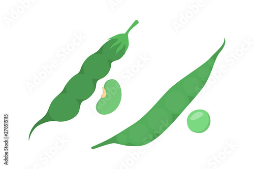 Green pea and bean. Healthy and fresh organic vegetable