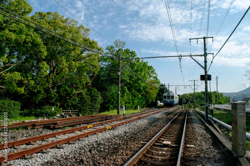Train surrounded by nature