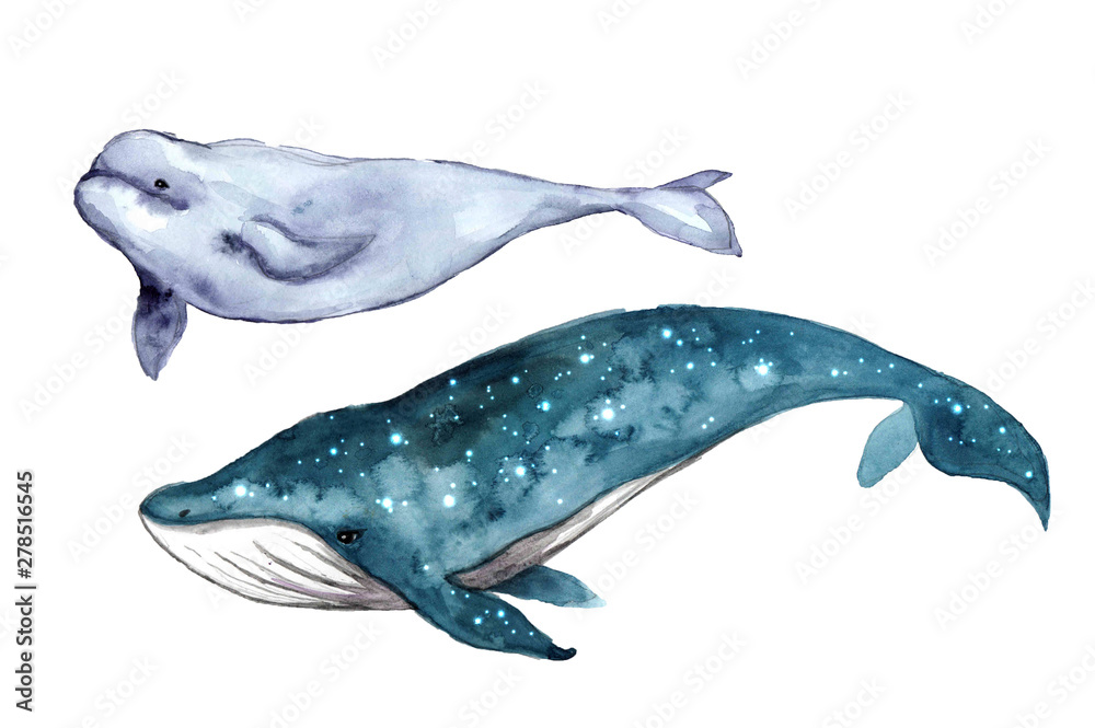 Obraz Watercolor cute whale. Shark illustartion