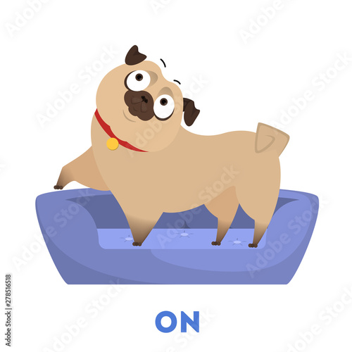 Learning preposition concept. Animal pug on the pillow
