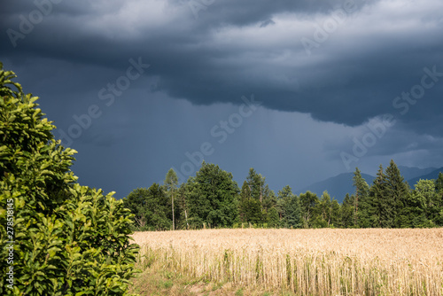 Wallpaper Mural Abendsimmung Torontodigital.ca
