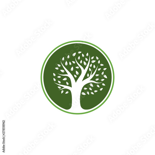 Tree icon logo template vector illustration design 