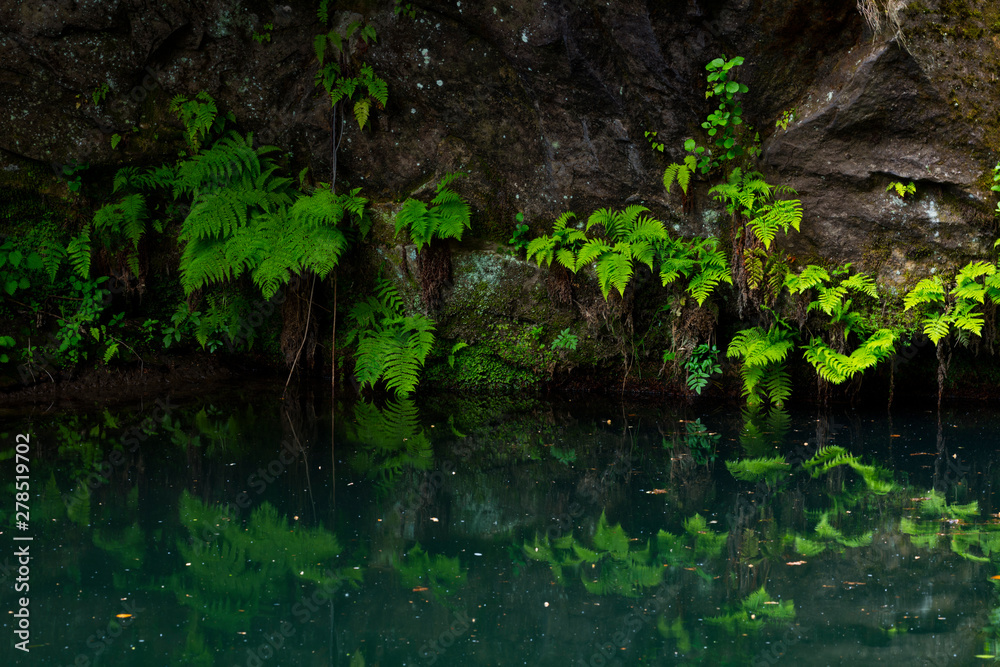 Gorges of Kamenice River, Bohemian Switzerland National Park, Czech Republic, Europe