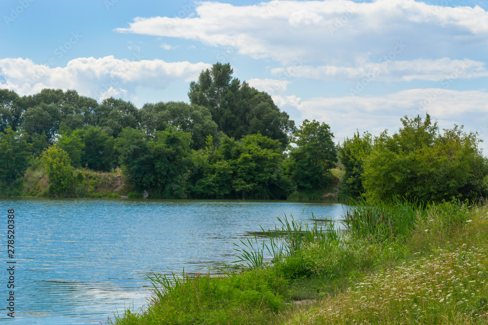 Fototapeta premium Landscape lake with reeds. Fishing