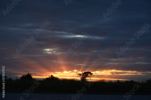 BOTSUANA(Safari, rio Zambeze,animales) photo