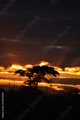 BOTSUANA(Safari, rio Zambeze,animales) © JORGE