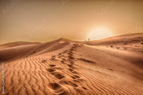 Desert, sunset in desert, desert in Dubai © Wn_Photography