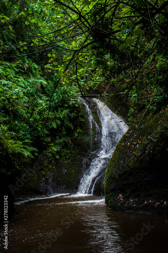 Waterfall in Rarotonga