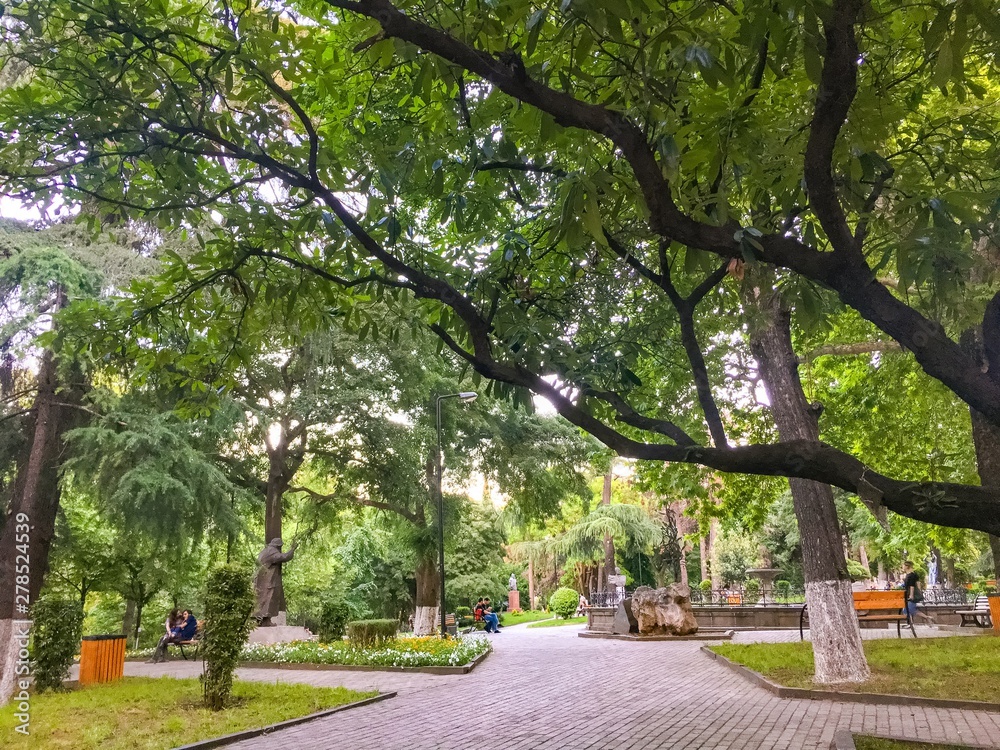 Obraz premium path in the park