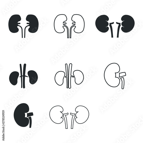 Kidney icons set, Vector illustration. Organs icons vector