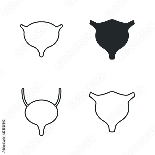 Bladder icons set. vector illustration. organ icons set