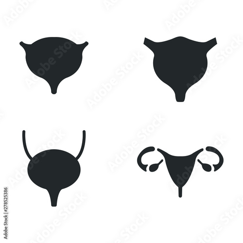 Bladder icons set. vector illustration. organ icons set