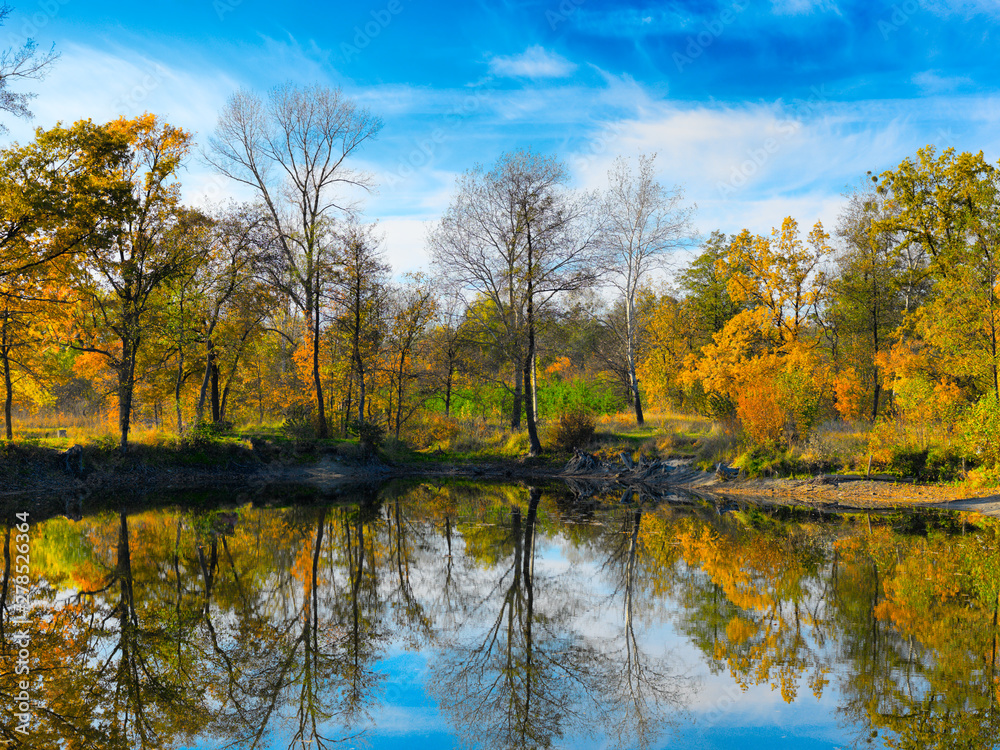 Obraz premium Autumn colorful foliage over lake