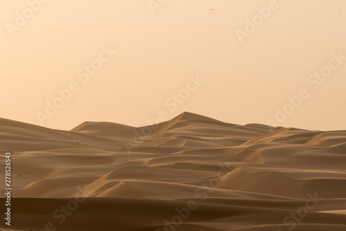 Sand Desert © Nico