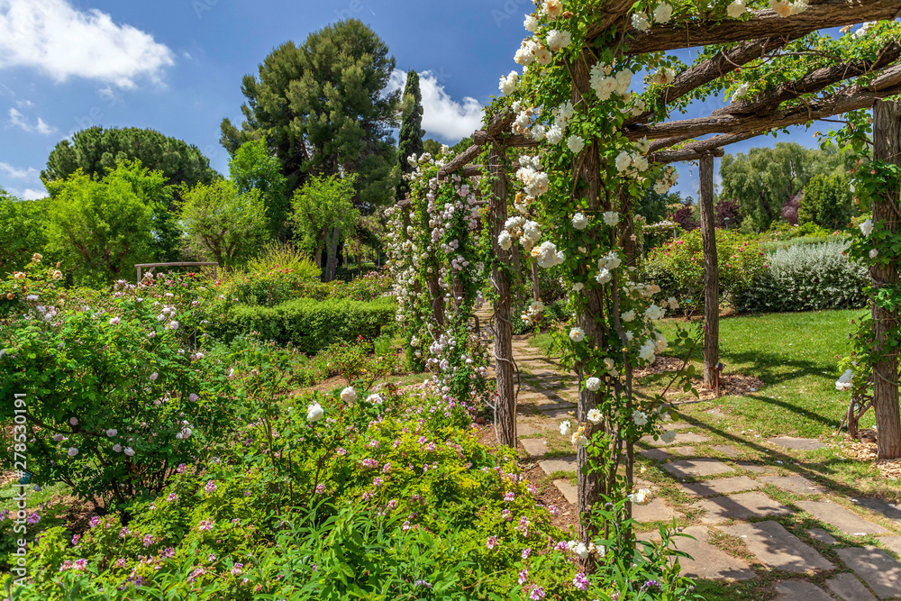 Obraz premium Public park, spring day, Rose Garden, Parc Cervantes in Les Corts quarter of Barcelona, Catalonia, Spain.