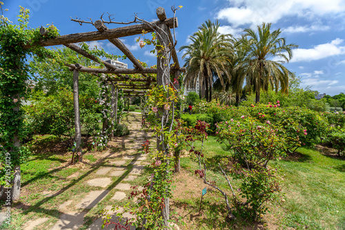 Public park, spring day, Rose Garden, Parc Cervantes in Les Corts quarter of Barcelona, Catalonia, Spain.