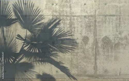 Obraz cień palmowych liści na betonowej ścianie