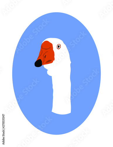 Goose head vector illustration isolated on blue background. White goose (Anser anser domesticus) isolated on a white background. Water bird. Domestic animal.