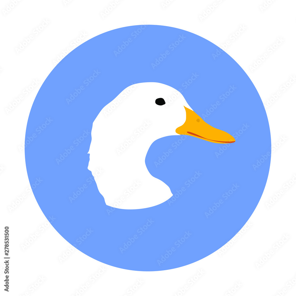 Domestic white duck had vector isolated on white background. Farm