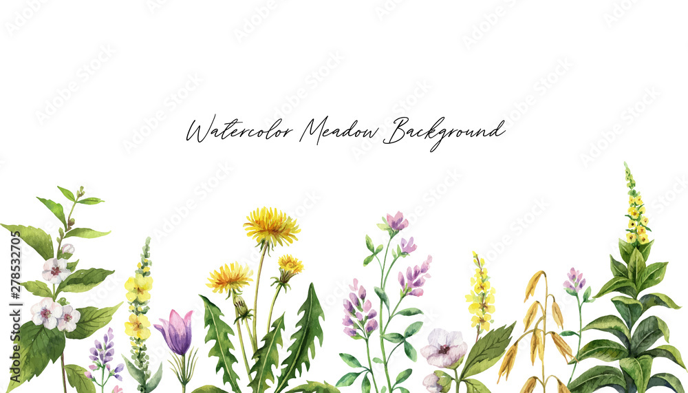 Watercolor hand vector painted banner with field flowers.
