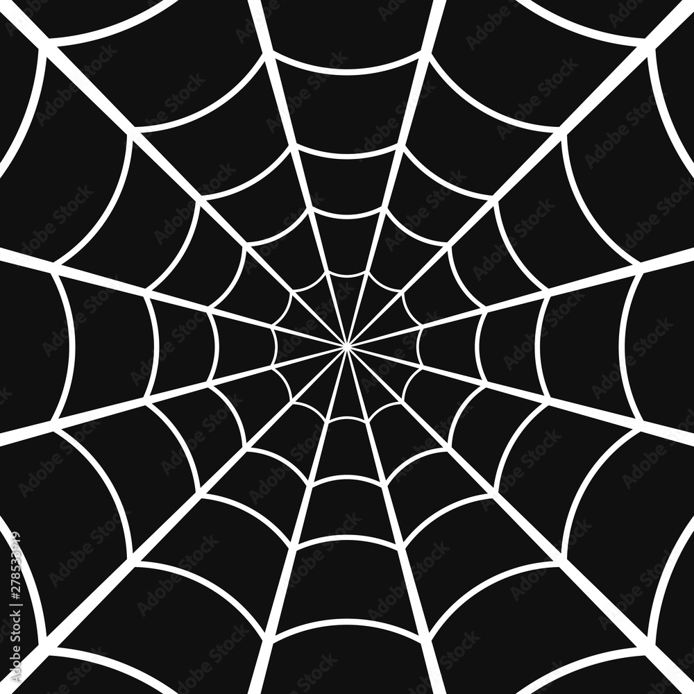 Fototapeta premium Cobweb or Spider web on Dark Background. Vector