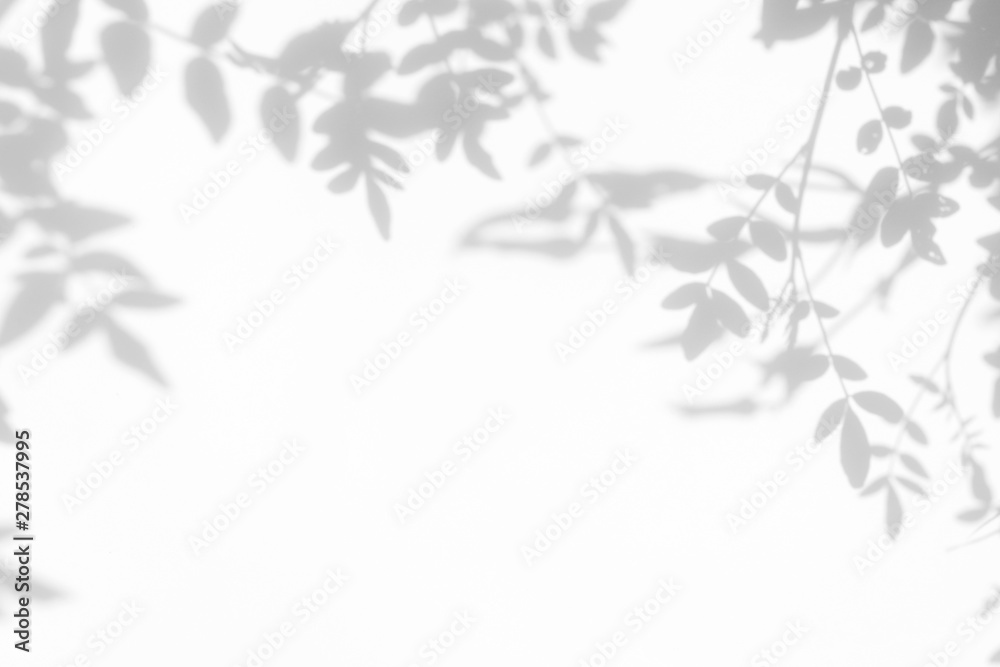 Gray shadow of the leaves on a white wall. Abstract neutral nature concept background. Space for text. - obrazy, fototapety, plakaty 
