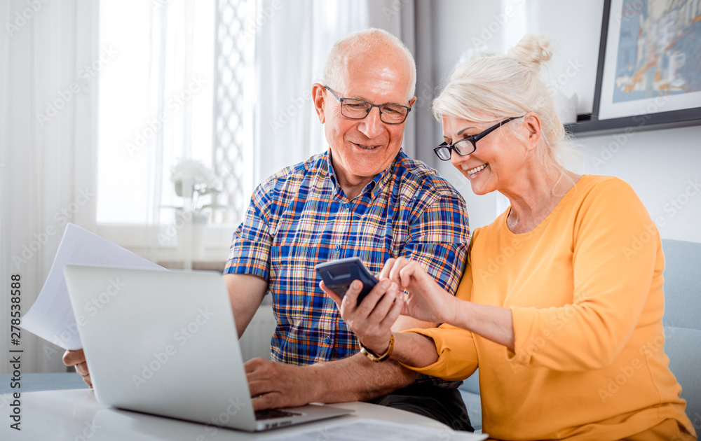 Senior couple checking bills using laptop at home