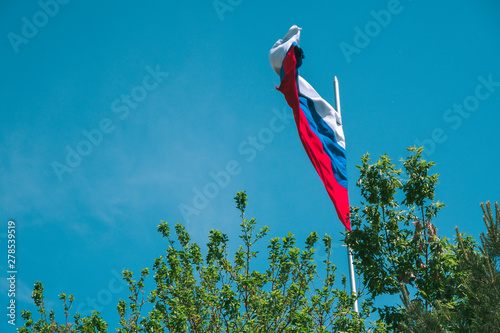 Canvas Print Beautiful waving Russian flag on a background of blue sky and green trees