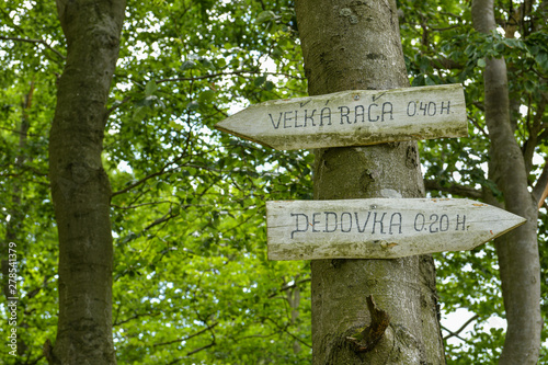 Wooden signpost on walking trail close to Velka Raca peak in Northern Slovakia photo