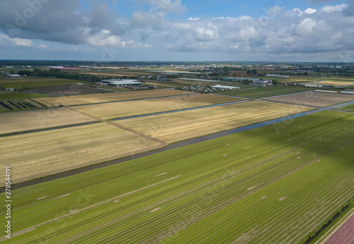 Rural farm fields with natural food growing in Netherlands