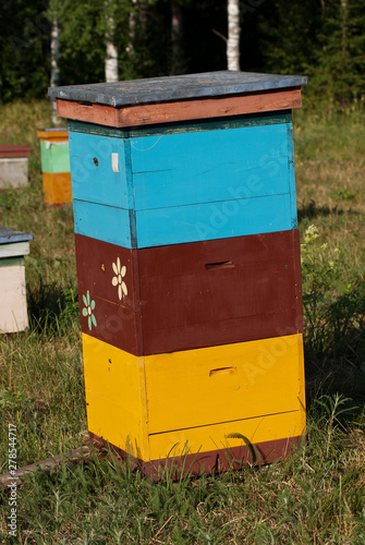 Mountain apiary. Beekeepers at work.