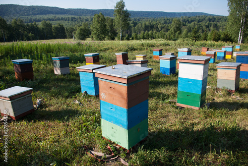 Mountain apiary. Beekeepers at work. © Eugene