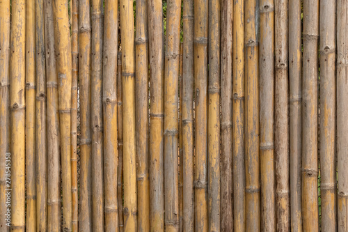 Background of bamboo  used for barrier  fence.
