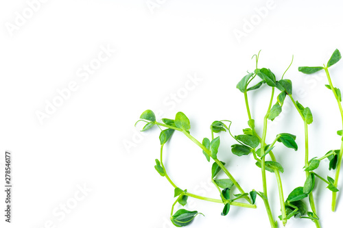 Layout with pea shoots isolated on white background with copy space