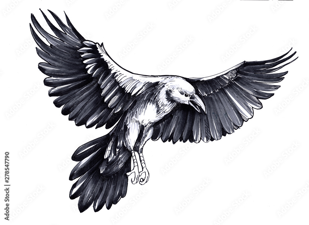 Naklejka premium Sketch of flying raven. Hand drawn illustration