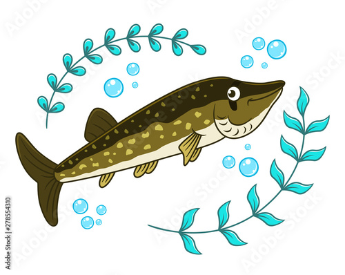 Cartoon pike and seaweed