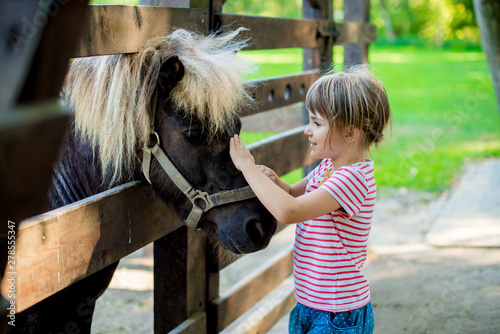 The little girl looks after the little pony